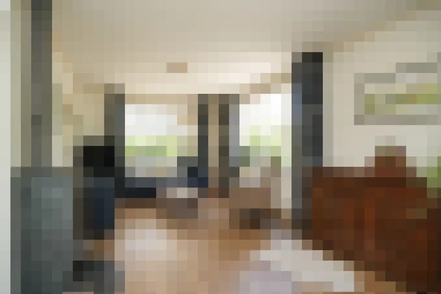 Breezij 2 Rhenoy foto 3