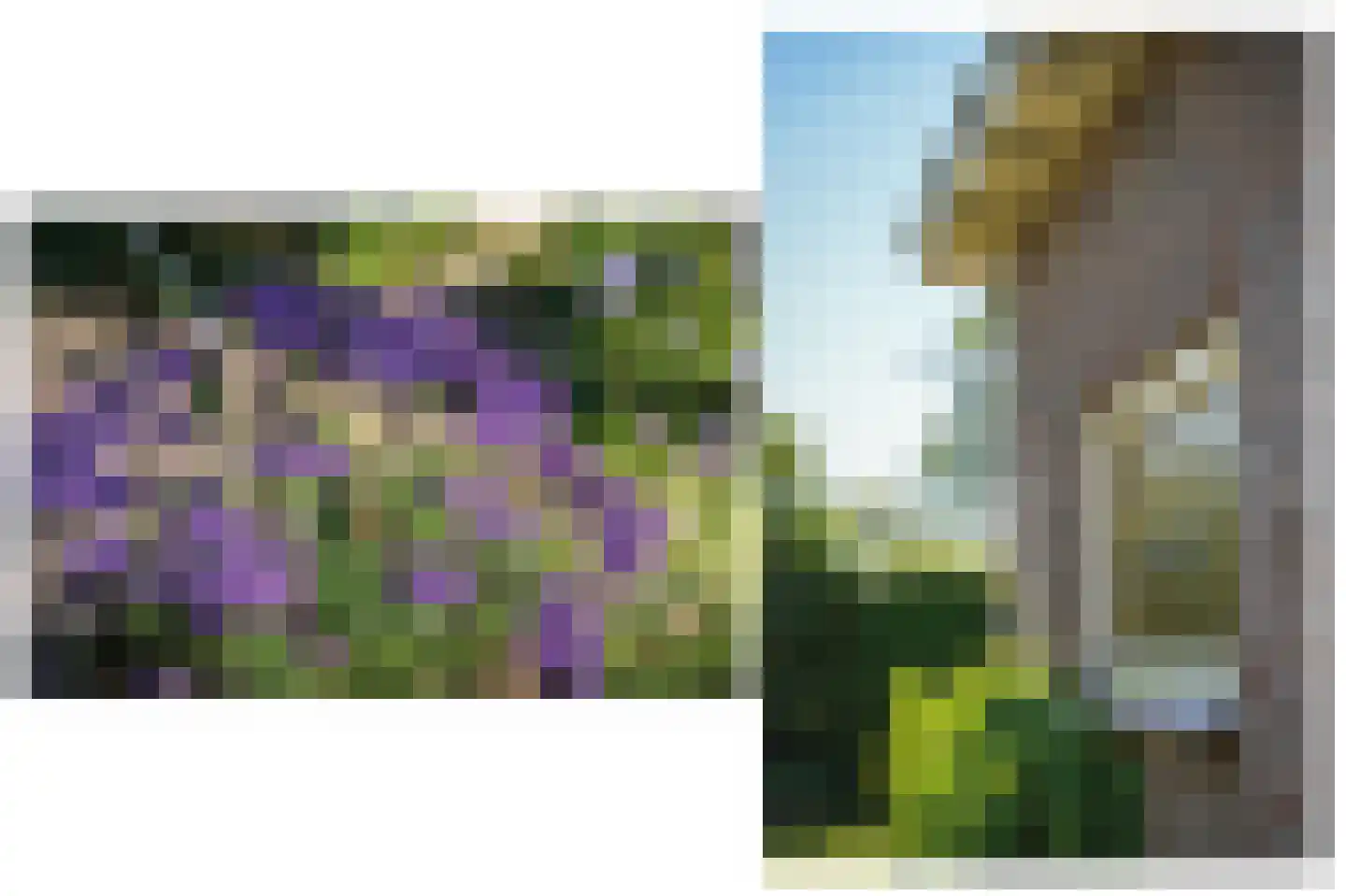 Breezij 2 Rhenoy thumbnail 32