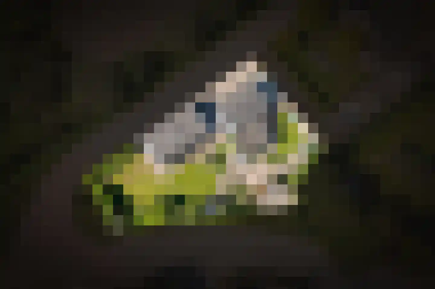 Breezij 2 Rhenoy thumbnail 33