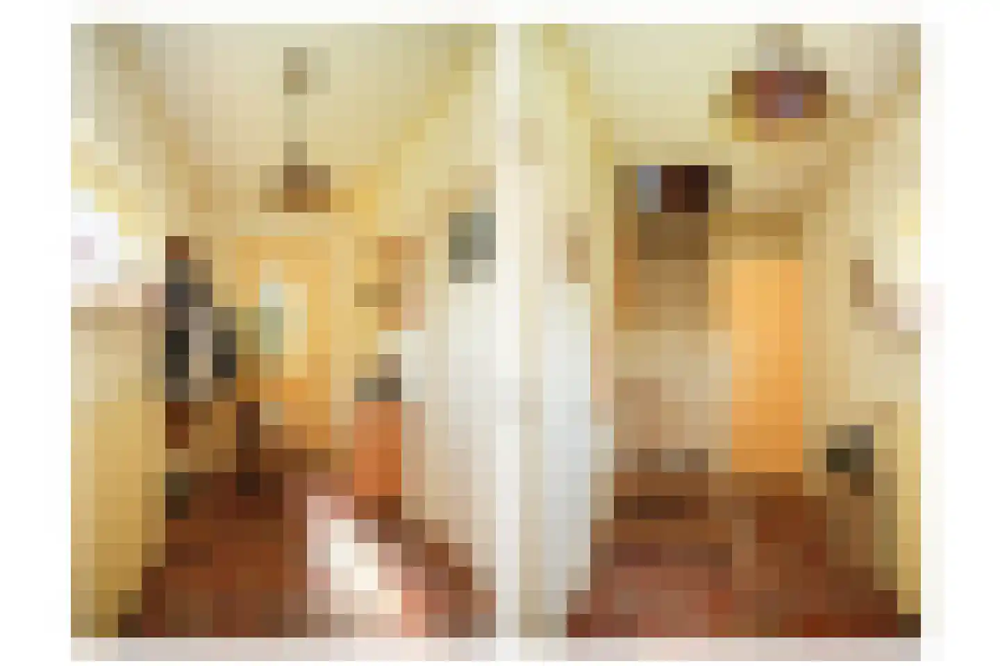 Breezij 2 Rhenoy thumbnail 6