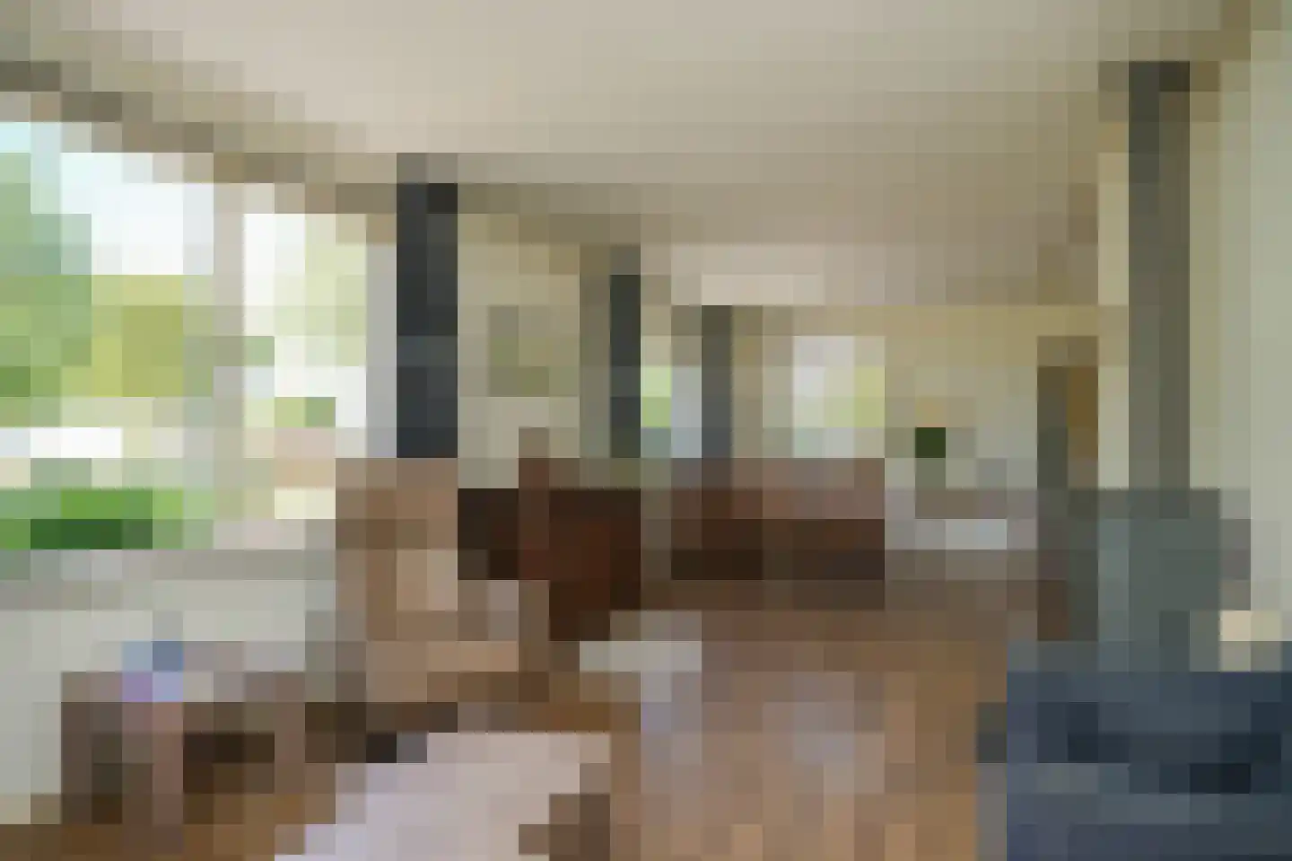 Breezij 2 Rhenoy thumbnail 8