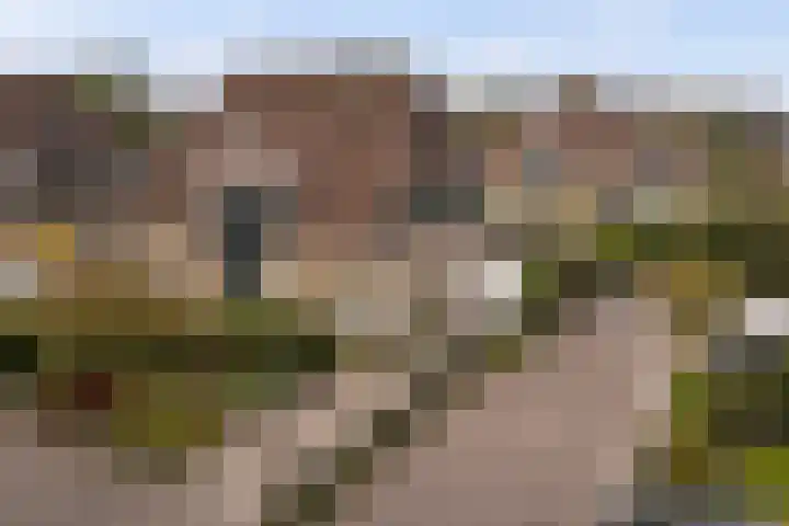 Brêgepaad 18 Grou