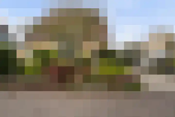 Brêgepaad 18 Grou thumbnail 11
