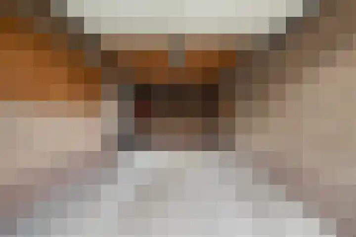 Brêgepaad 18 Grou thumbnail 12