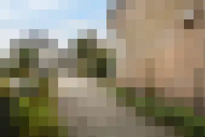 Brêgepaad 18 Grou thumbnail 14