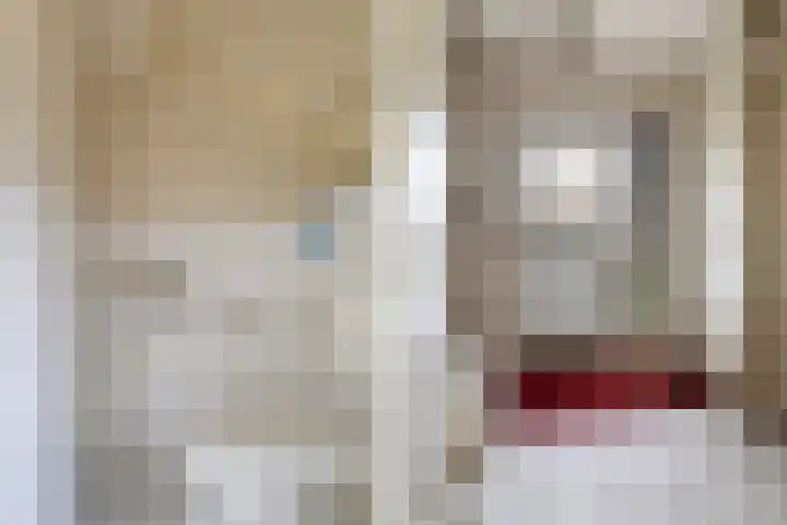 Brêgepaad 18 Grou thumbnail 16