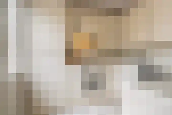 Brêgepaad 18 Grou thumbnail 24