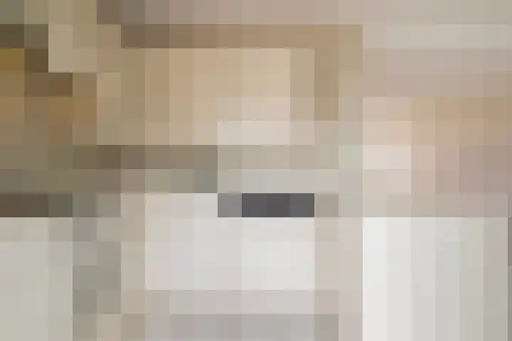 Brêgepaad 18 Grou thumbnail 25