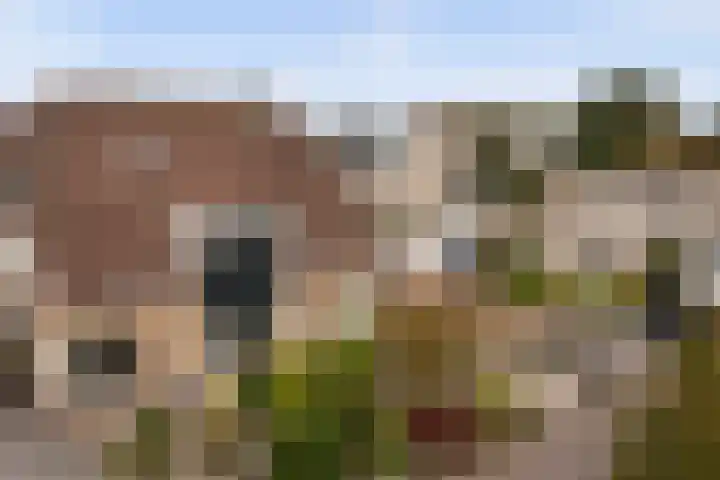 Brêgepaad 18 Grou thumbnail 41