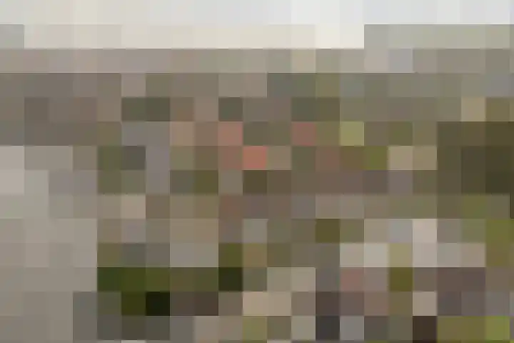Brêgepaad 18 Grou thumbnail 42
