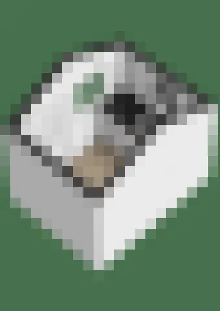 Brêgepaad 18 Grou thumbnail 50