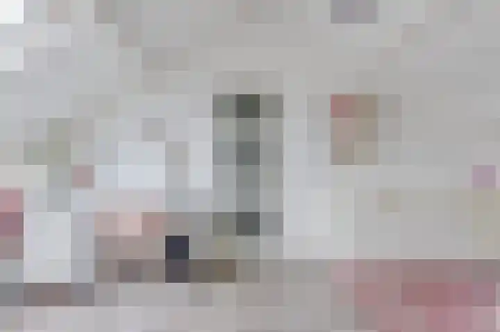 Bregwaard 108 Alkmaar thumbnail 37