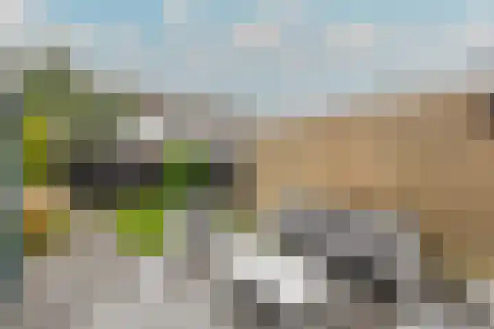 Bregwaard 108 Alkmaar thumbnail 40