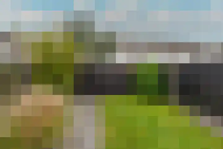 Bregwaard 108 Alkmaar thumbnail 42