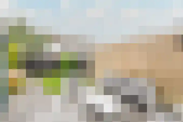 Bregwaard 108 Alkmaar thumbnail 45