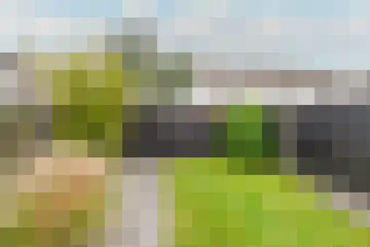 Bregwaard 108 Alkmaar thumbnail 47