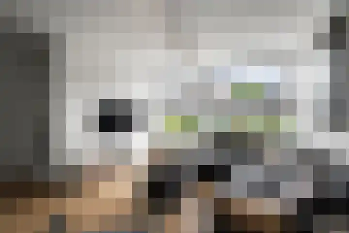 Bregwaard 26 Alkmaar thumbnail 10