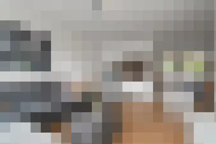 Bregwaard 26 Alkmaar thumbnail 11