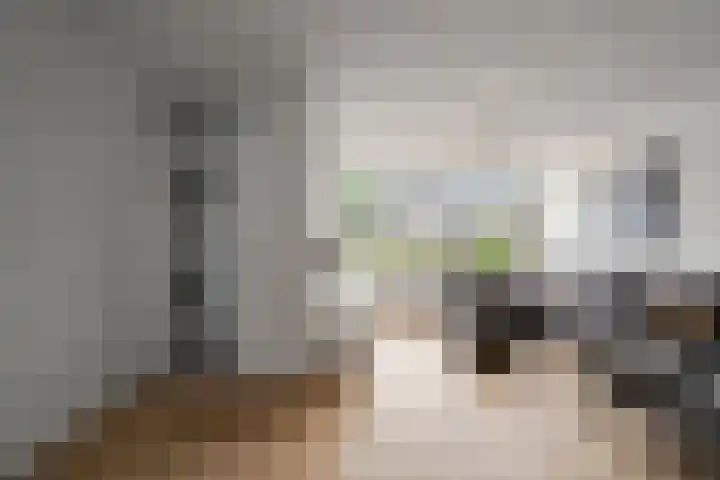 Bregwaard 26 Alkmaar thumbnail 18