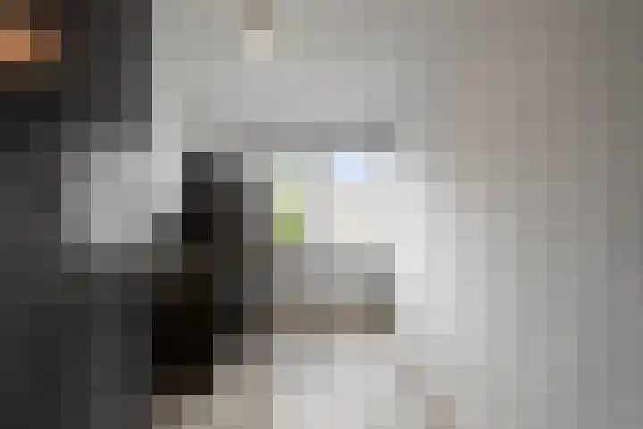 Bregwaard 26 Alkmaar thumbnail 21
