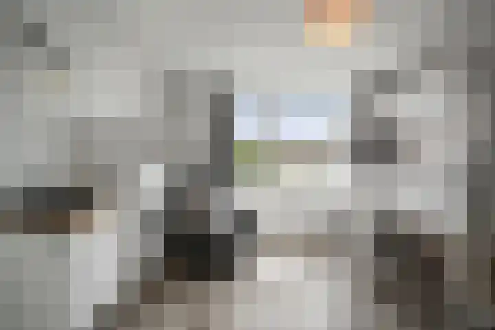 Bregwaard 26 Alkmaar thumbnail 23