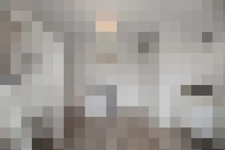 Bregwaard 26 Alkmaar thumbnail 24