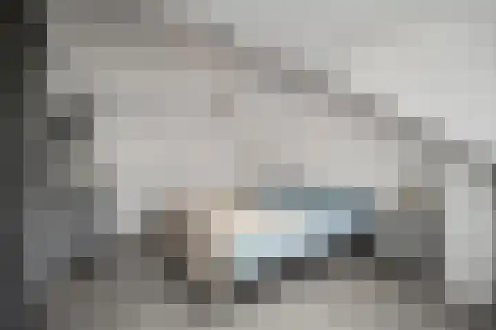Bregwaard 26 Alkmaar thumbnail 28