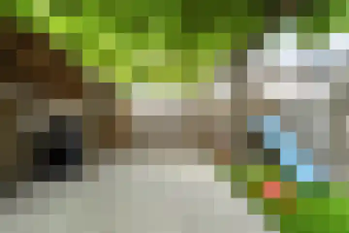 Bregwaard 26 Alkmaar thumbnail 31