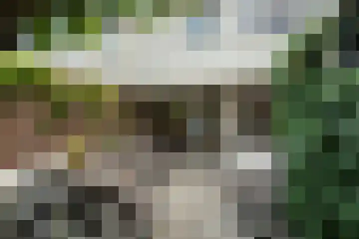 Bregwaard 26 Alkmaar thumbnail 32