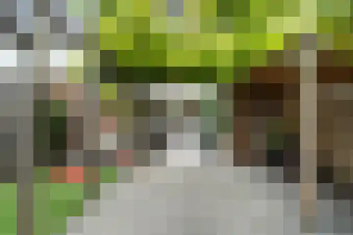 Bregwaard 26 Alkmaar thumbnail 4