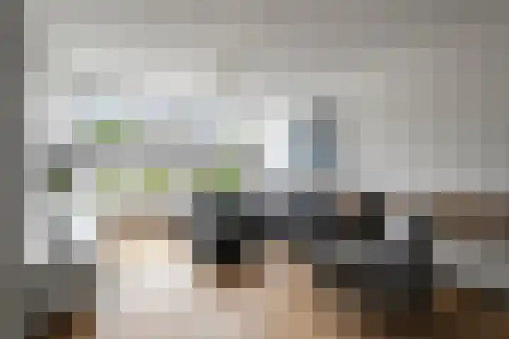 Bregwaard 26 Alkmaar thumbnail 9