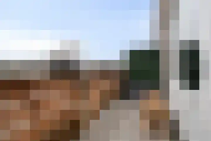 Bregwaard 62 Alkmaar thumbnail 10