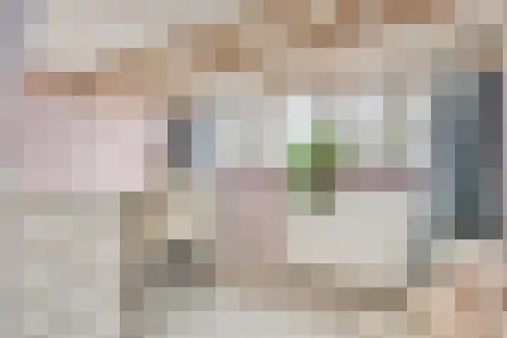 Bregwaard 62 Alkmaar thumbnail 17