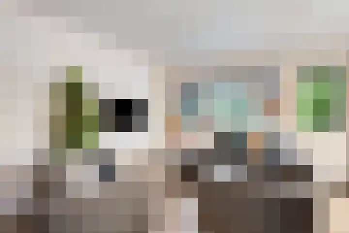 Bregwaard 62 Alkmaar thumbnail 22