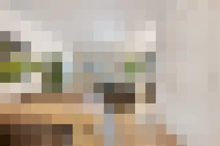 Bregwaard 62 Alkmaar thumbnail 24