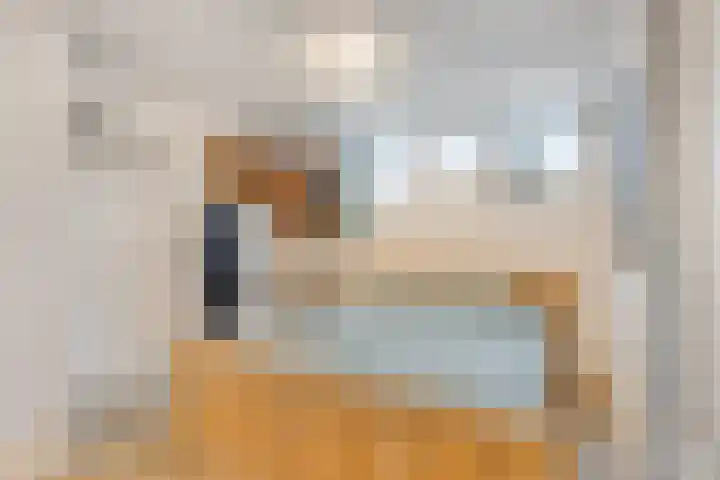 Bregwaard 62 Alkmaar thumbnail 28