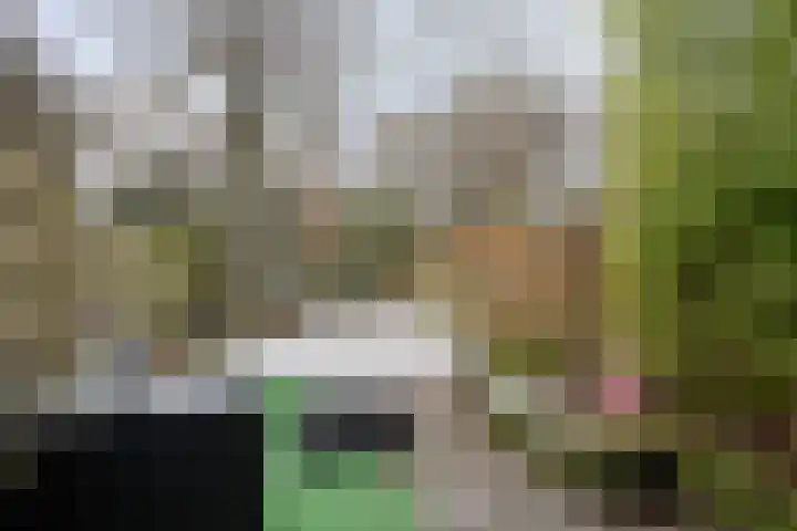Bregwaard 62 Alkmaar thumbnail 30