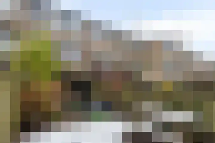 Bregwaard 62 Alkmaar thumbnail 31