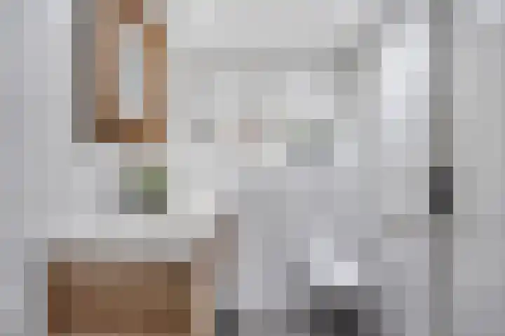 Bregwaard 62 Alkmaar thumbnail 4