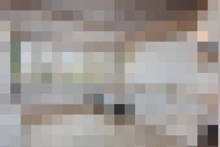 Bregwaard 62 Alkmaar thumbnail 5
