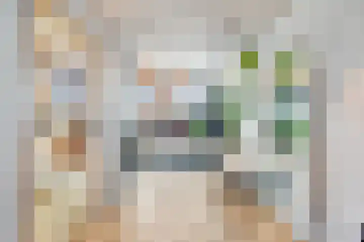 Bregwaard 62 Alkmaar thumbnail 6
