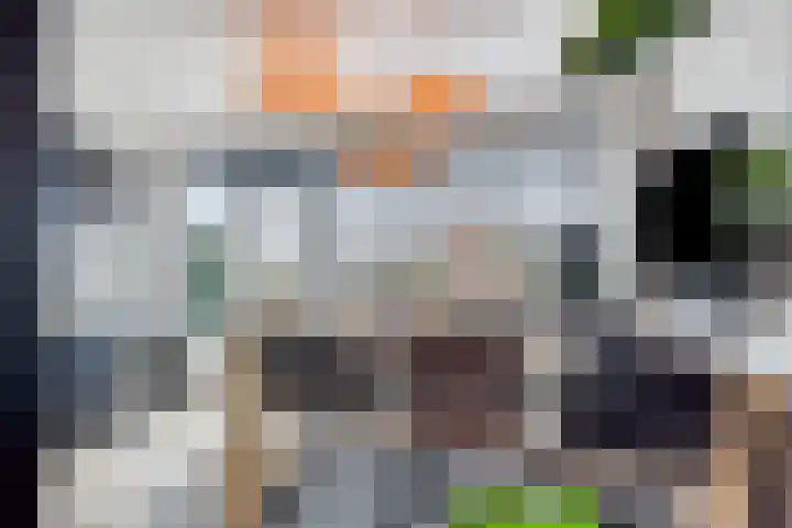 Bregwaard 62 Alkmaar thumbnail 7
