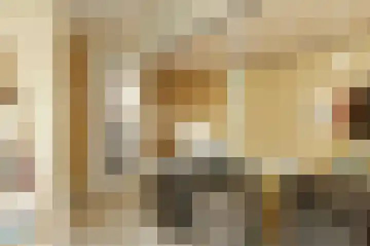 Bregwaard 70 Alkmaar thumbnail 35