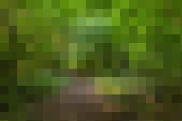 Bregwaard 70 Alkmaar thumbnail 39