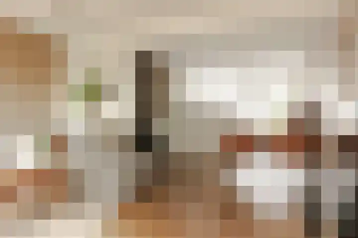 Bregwaard 70 Alkmaar thumbnail 6