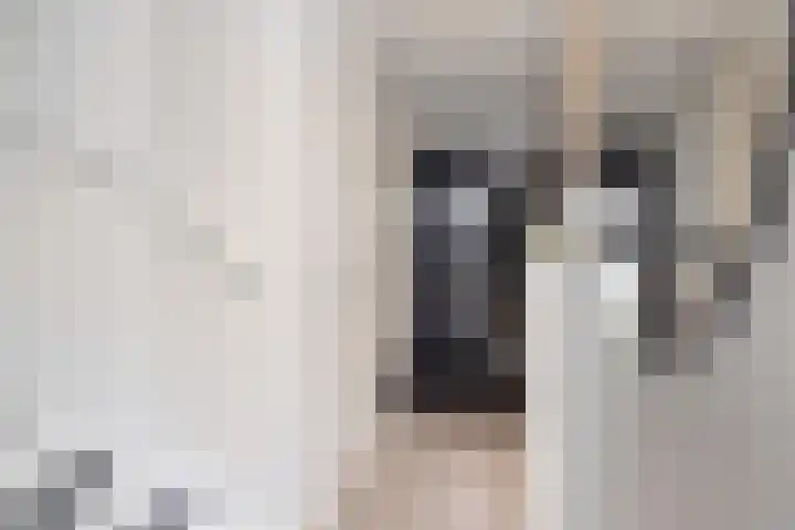 Bregweitje 6 Blokker thumbnail 10