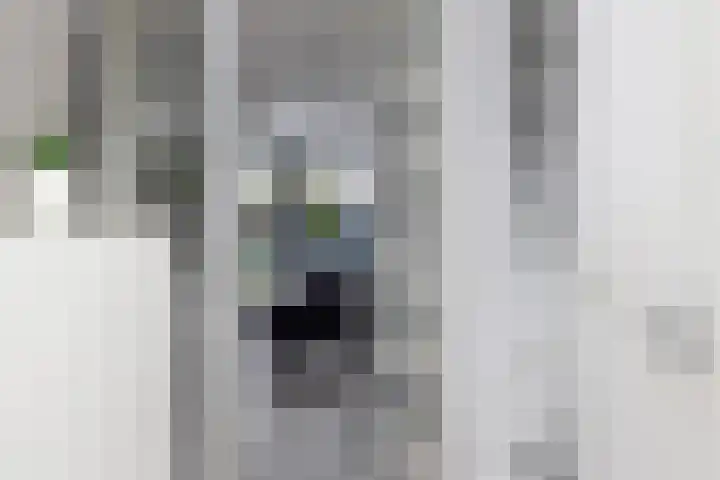 Bregweitje 6 Blokker thumbnail 11