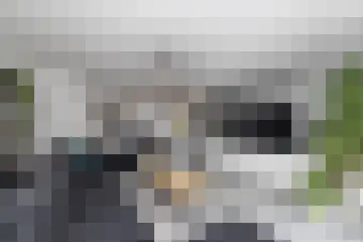 Bregweitje 6 Blokker thumbnail 17