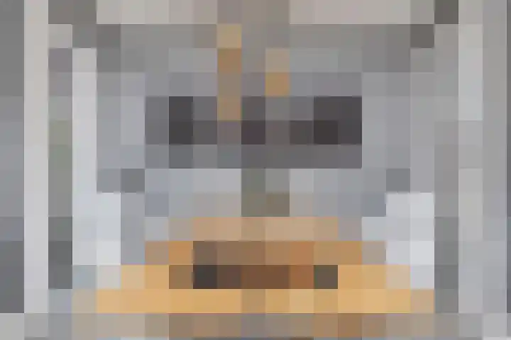 Bregweitje 6 Blokker thumbnail 19