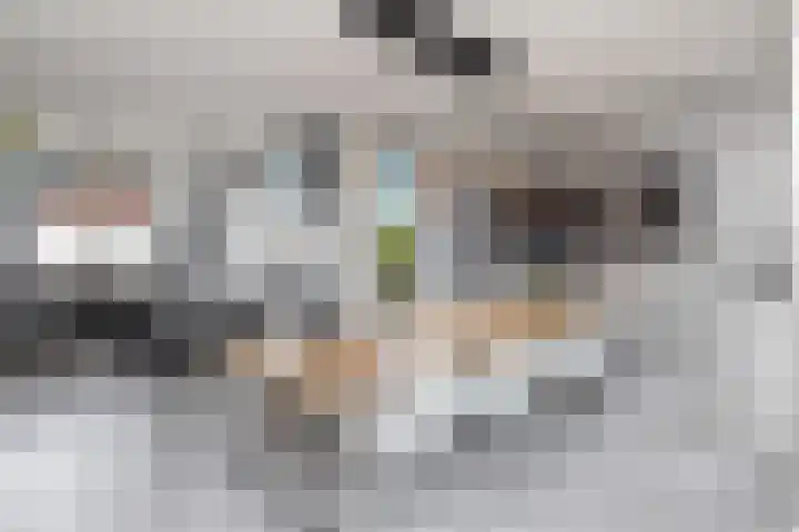 Bregweitje 6 Blokker thumbnail 24